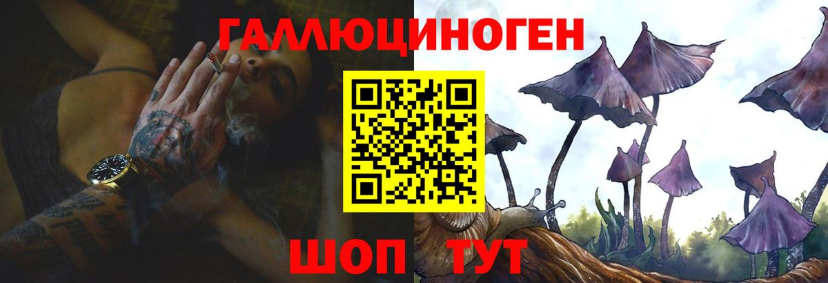 где купить наркоту  Псилоцибиновые грибы мицелий  Киселёвск  Вход с VPN  Псилоцибиновые грибы GOLDEN TEACHER 